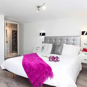 Estudio Lilu Apartamento